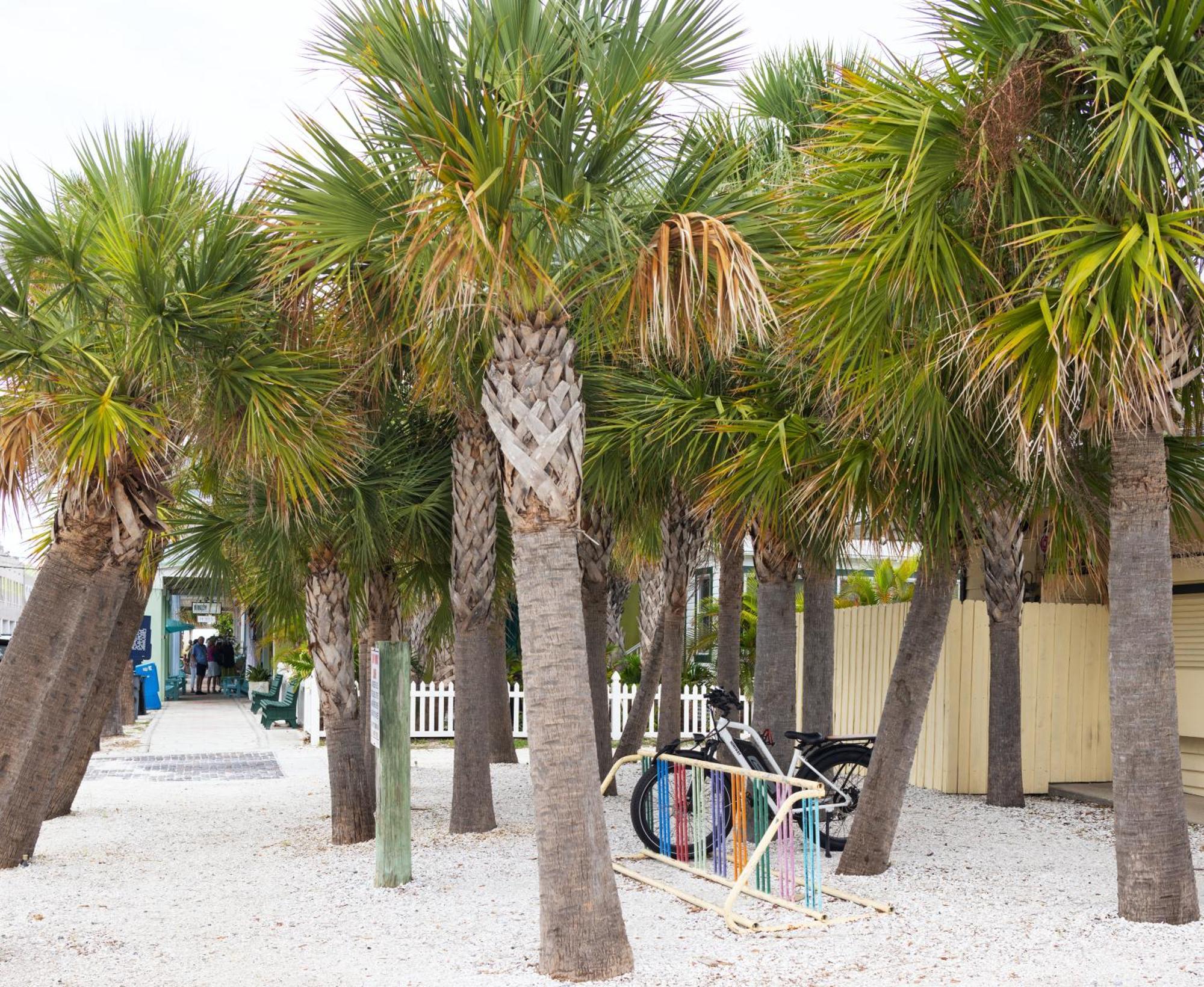 The Hotel Zamora St. Pete Beach Kültér fotó