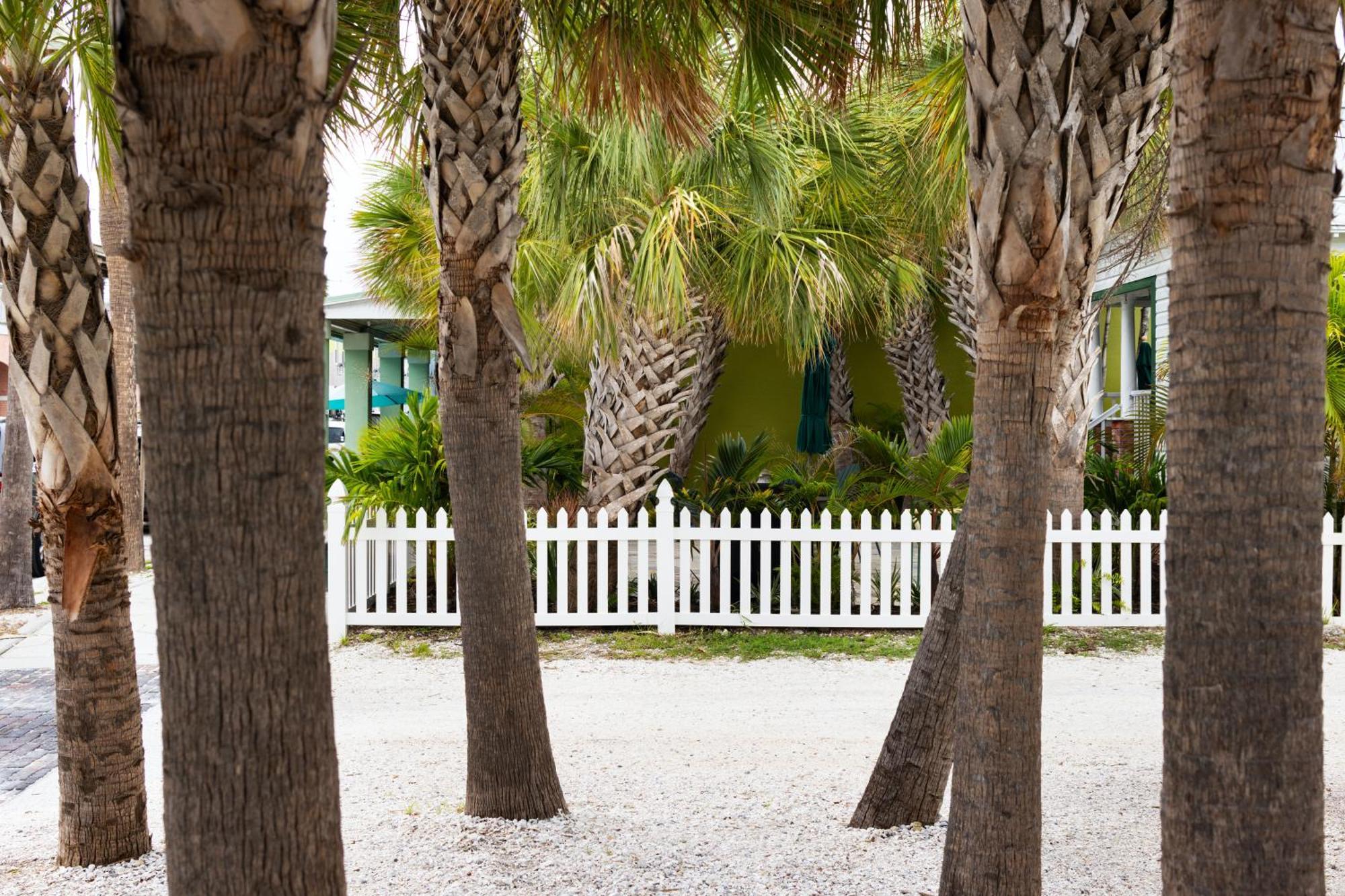 The Hotel Zamora St. Pete Beach Kültér fotó